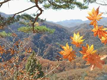 暑假計(jì)劃實(shí)施，自我提升，精彩一夏不容錯(cuò)過