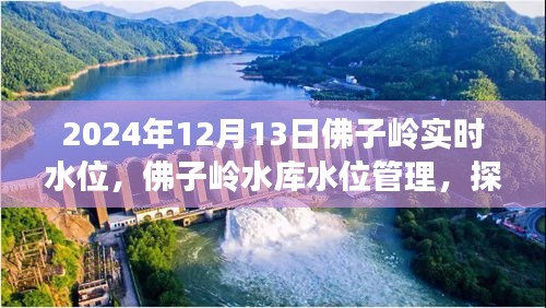 2024年12月13日 第13頁