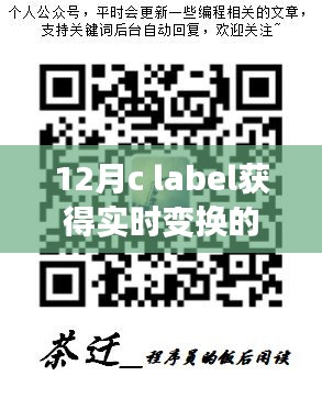 2024年12月13日 第12頁(yè)