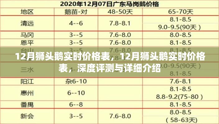 最新12月獅頭鵝實(shí)時(shí)價(jià)格表及深度評(píng)測(cè)與詳細(xì)介紹