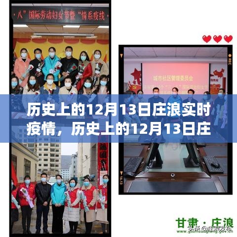 歷史上的莊浪實(shí)時(shí)疫情回顧與洞察，聚焦十二月十三日數(shù)據(jù)