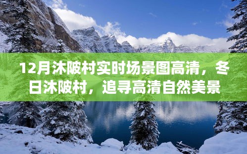 冬日沐陂村高清實(shí)時場景圖，探尋自然美景，解鎖內(nèi)心寧靜的密碼