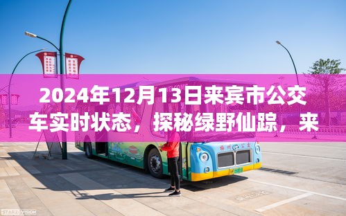 探秘綠野仙蹤，來賓市公交之旅的心靈覺醒與實時狀態(tài)（2024年12月13日）