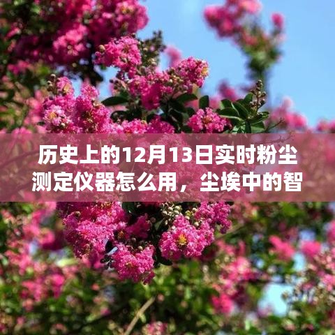 2024年12月13日 第6頁