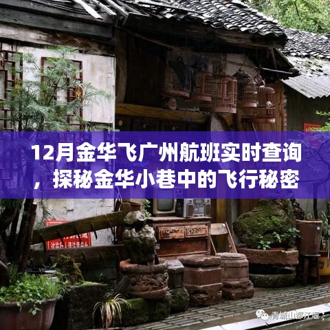 探秘金華小巷飛行秘密，實時查詢廣州航班寶藏小店
