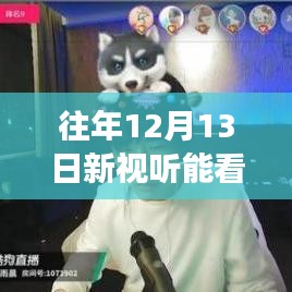 探秘小巷深處的視聽(tīng)盛宴，揭秘往年12月13日新視聽(tīng)直播實(shí)況與期待能否如約而至？