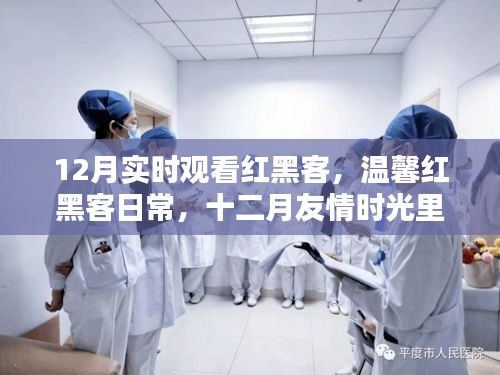 溫馨紅黑客日常，十二月友情時光的愛與陪伴