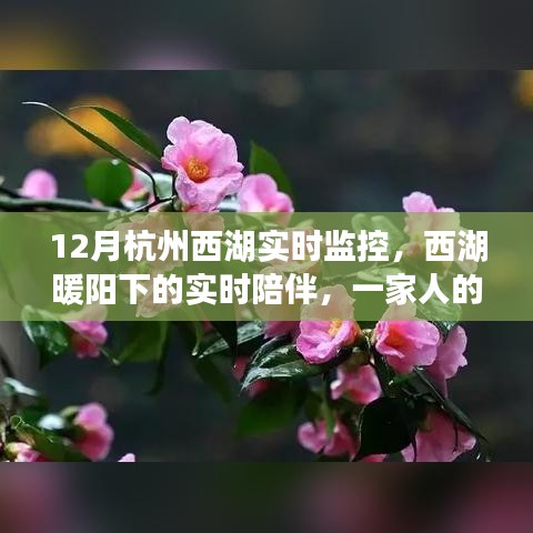 西湖暖陽(yáng)下的溫馨時(shí)光，家庭實(shí)時(shí)陪伴與監(jiān)控記錄