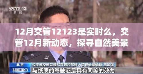 交管新動態(tài)揭秘，探尋自然美景之旅，啟程尋找內(nèi)心的寧靜與平和的啟示