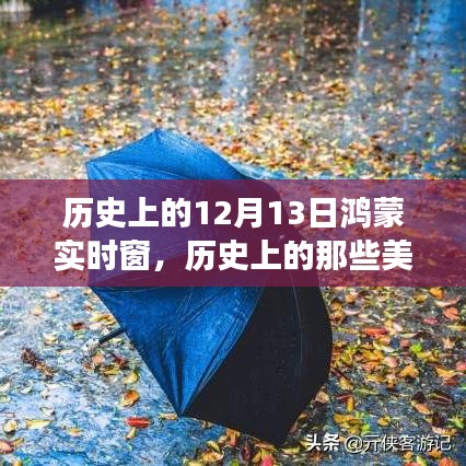 鴻蒙實時窗，歷史美好瞬間與自然美景的奇妙之旅