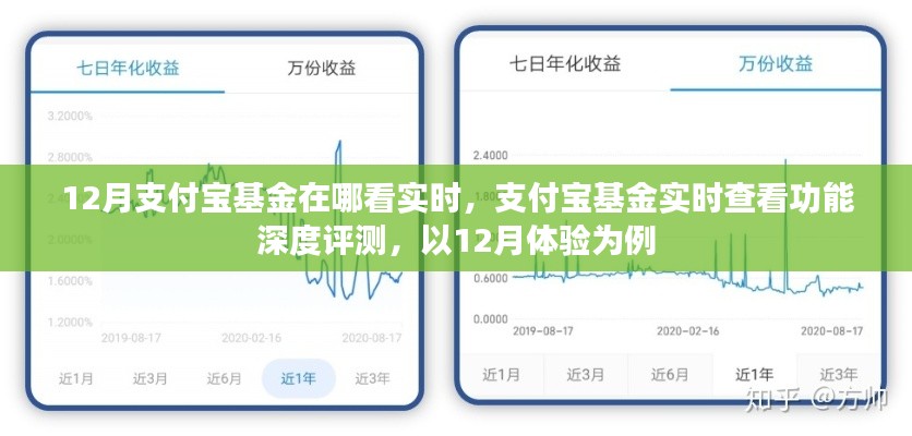 支付寶基金實時查看功能深度評測，以12月體驗為例，實時掌握基金動態(tài)
