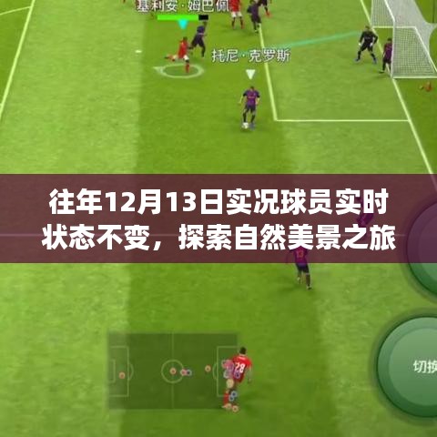 12月13日，球場激情與心靈寧靜的自然探索之旅