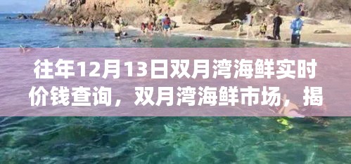 揭秘雙月灣海鮮市場，歷年12月13日海鮮實時價格變遷與故事探尋