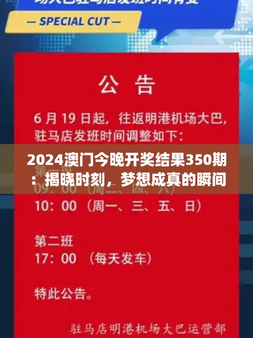 2024澳門今晚開獎(jiǎng)結(jié)果350期：揭曉時(shí)刻，夢想成真的瞬間