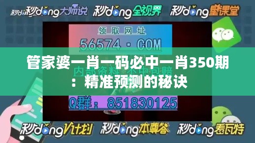 2024年12月15日 第6頁