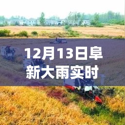 阜新市12月13日大雨事件，實時播報與觀點探析及立場闡述