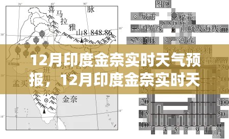 2024年12月16日 第21頁