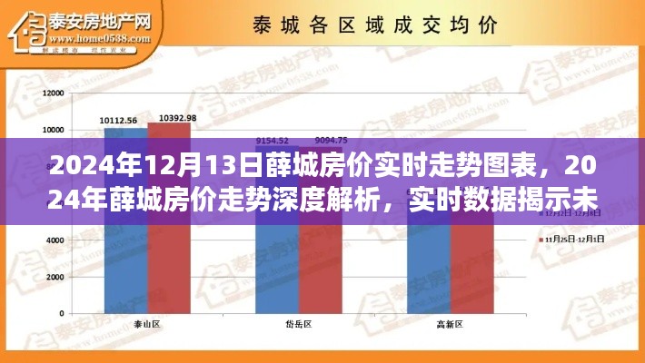 揭秘薛城房?jī)r(jià)走勢(shì)，實(shí)時(shí)數(shù)據(jù)深度解析與未來(lái)趨勢(shì)預(yù)測(cè)