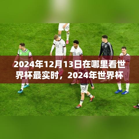 2024世界杯盛宴實時觀看指南，最佳觀賽地點揭秘