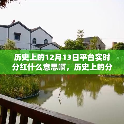 歷史上的分紅策略解析，實(shí)時(shí)分紅的概念與操作指南