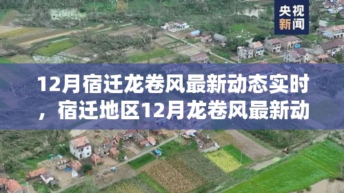 2024年12月16日 第4頁(yè)