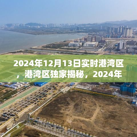港灣區(qū)獨家揭秘，最新實時動態(tài)報告（2024年12月13日）