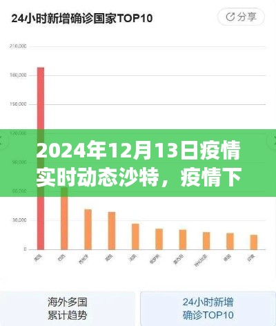 2024年視角，沙特疫情實時動態(tài)與演變