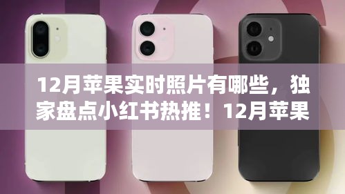 獨(dú)家盤點(diǎn)小紅書熱推！12月蘋果實(shí)時(shí)照片精選，美到心醉的瞬間