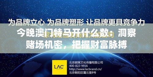 今晚澳門特馬開什么數(shù)：洞察賭場機密，把握財富脈搏