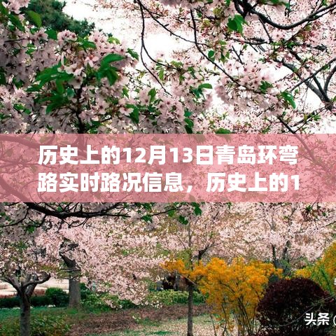 青島環(huán)彎路逆風(fēng)砥礪行，歷史上的路況變遷與勵(lì)志篇章