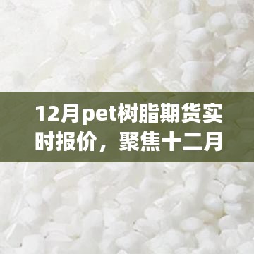 十二月Pet樹脂期貨市場(chǎng)波動(dòng)與實(shí)時(shí)報(bào)價(jià)深度解析