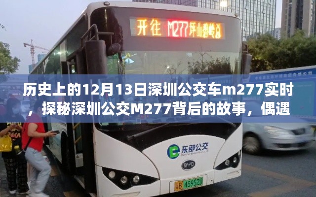 探秘深圳公交M277背后的故事，偶遇小巷深處小店的獨(dú)特風(fēng)味記錄（12月13日實(shí)時(shí)）