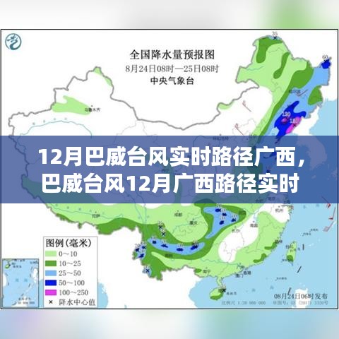 巴威臺風廣西路徑實時分析，影響與應對策略探討