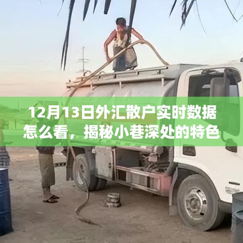 揭秘外匯散戶實時數(shù)據(jù)解讀秘籍，小巷特色小店的外匯數(shù)據(jù)觀察指南