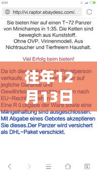 歷年12月13日德語(yǔ)外教實(shí)時(shí)翻譯體驗(yàn)，跨文化交流的獨(dú)特魅力