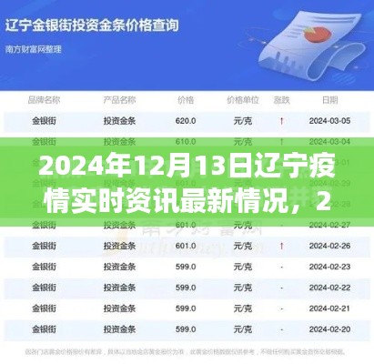 2024年12月13日遼寧疫情最新實時資訊，防控進展與應對策略聚焦