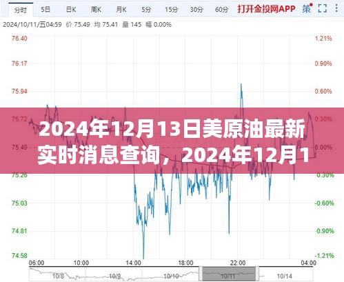 2024年12月19日 第13頁(yè)
