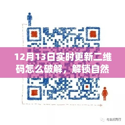 揭秘二維碼解鎖自然美景之旅，尋找內(nèi)心平靜的旅行冒險(xiǎn)攻略