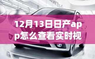 日產(chǎn)app實(shí)時(shí)視頻查看指南，多方觀點(diǎn)與個(gè)人立場(chǎng)解析（12月13日版）