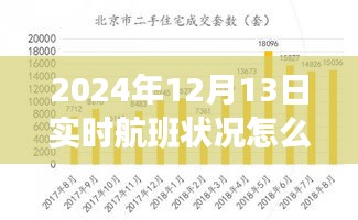 輕松科普，如何查看與分析2024年12月13日實時航班狀況解讀航班動態(tài)信息指南