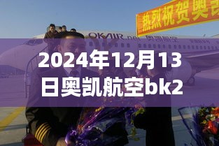 奧凱航空BK2821航班實(shí)時(shí)動(dòng)態(tài)查詢指南，初學(xué)者快速掌握指南（日期，2024年12月13日）