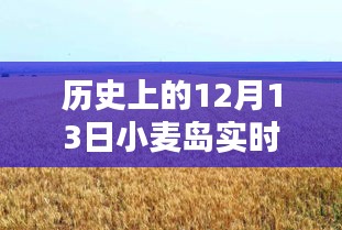 小麥島，12月13日的溫馨時光與實時記憶碎片