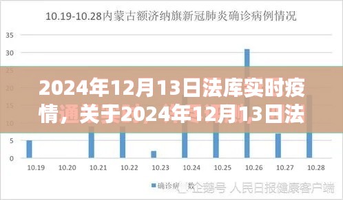 關(guān)于法庫縣實時疫情動態(tài)，全面評測與介紹（日期，2024年12月13日）