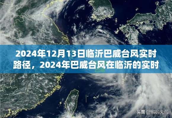 巴威臺風(fēng)實時路徑追蹤深度分析，臨沂地區(qū)臺風(fēng)動態(tài)與影響