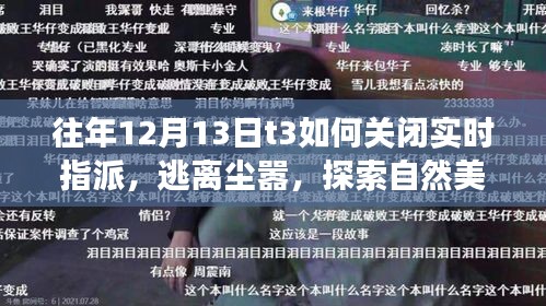 往年12月13日T3關(guān)閉實時指派，心靈之旅，逃離塵囂探索自然美景之道