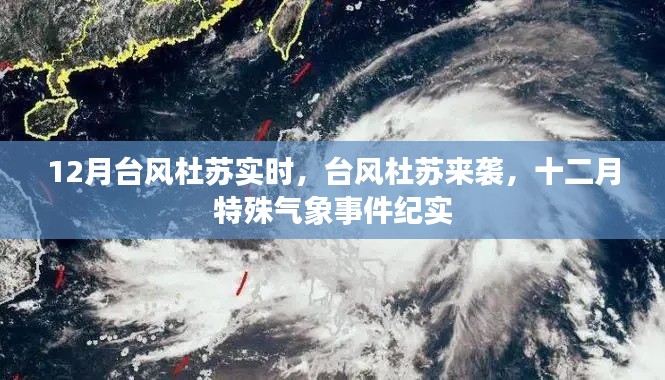 2024年12月20日 第7頁
