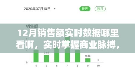 實(shí)時(shí)掌握商業(yè)脈搏，12月銷售額數(shù)據(jù)平臺(tái)深度評(píng)測(cè)與實(shí)時(shí)數(shù)據(jù)查看指南