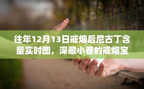 揭秘戒煙后尼古丁含量實(shí)時(shí)圖的神秘之旅，深藏小巷的寶藏故事