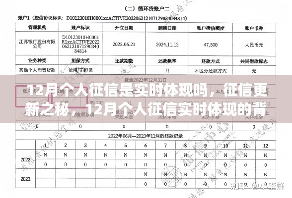揭秘，12月個(gè)人征信實(shí)時(shí)更新背后的影響與洞察