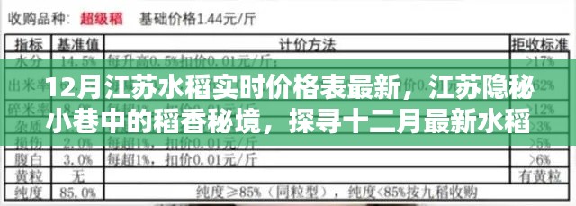 江蘇稻香秘境，十二月水稻實(shí)時(shí)價(jià)格與美食探尋之旅